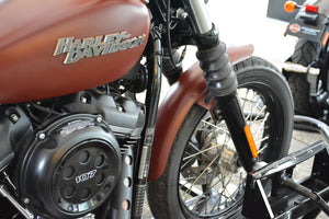 Beyond the Road: Discovering the Hidden Gems of Harley-Davidson Culture